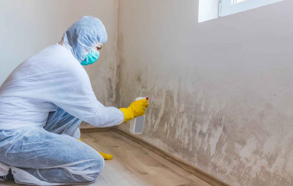 Anti-mold material