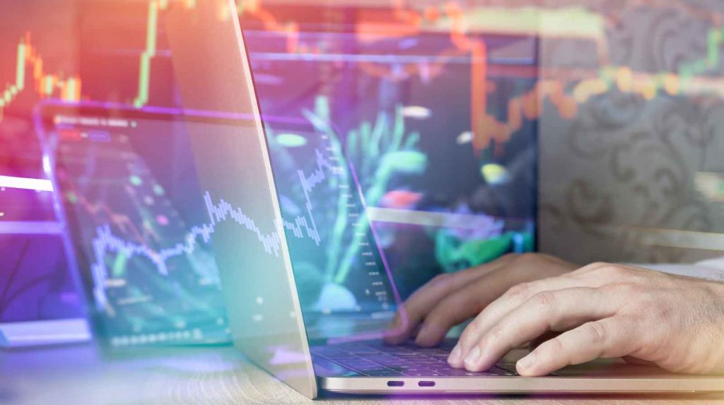 תואר ראשון בשוק ההון