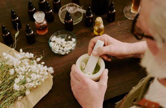 Herb Shop2