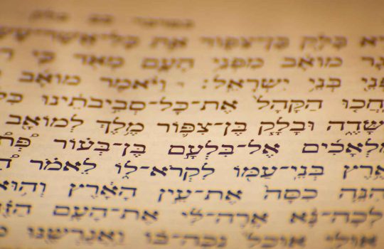 מזמור לתודה2