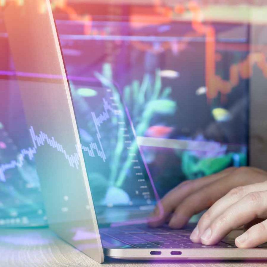 תואר ראשון בשוק ההון2